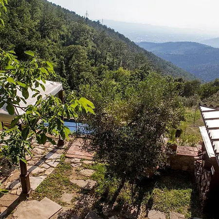 Ancora Tenuta Lonciano Gualdo (Tuscany)