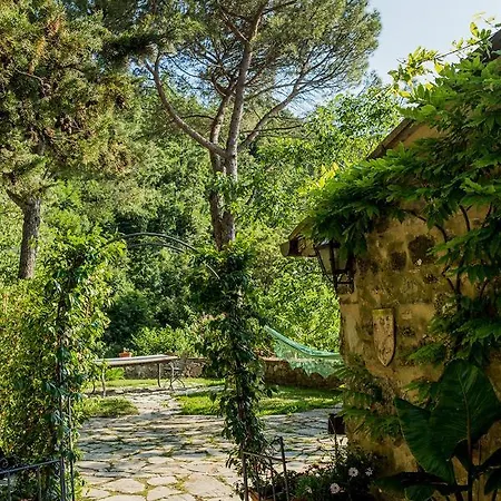 Ancora Tenuta Lonciano Willa *