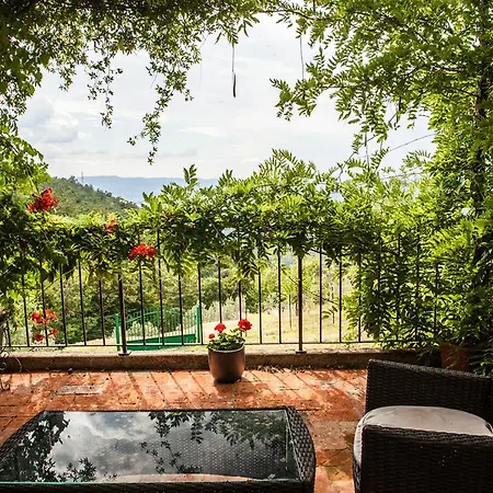 Ancora Tenuta Lonciano Gualdo (Tuscany)