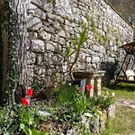 Ancora Tenuta Lonciano Gualdo (Tuscany)