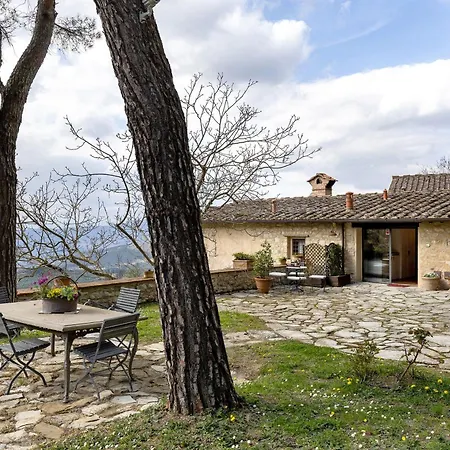 Ancora Tenuta Lonciano