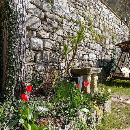 Villa Ancora Tenuta Lonciano